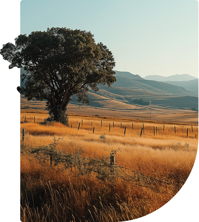 A photo of an expansive nature scene, with a large tree in the forefront and mountains behind